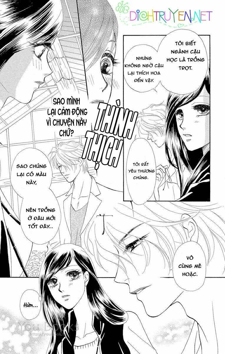 đóa hồng dành tặng seri chapter 2 19