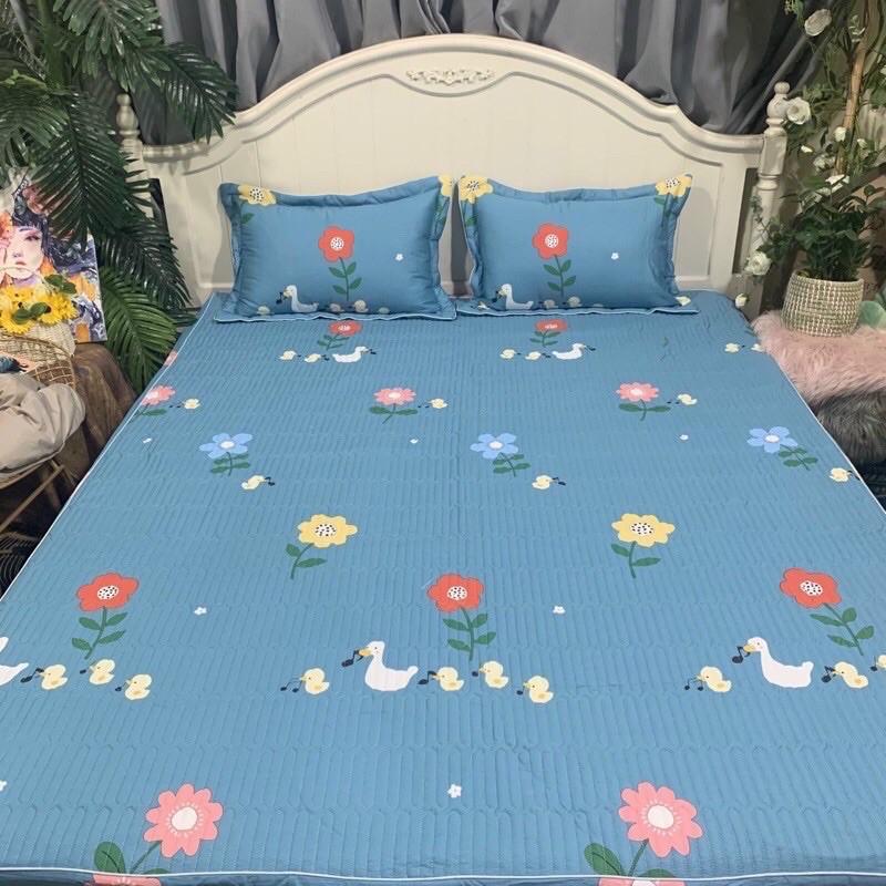 Bộ Ga Gối Trần Chun Cotton Hàng Xuất Nhật