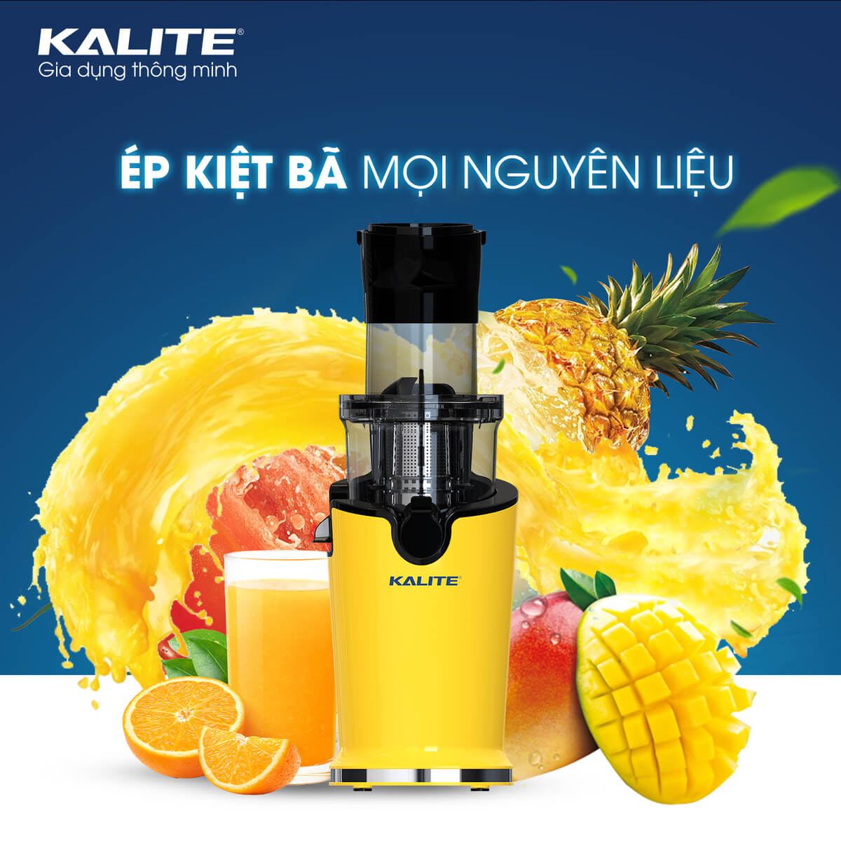 Máy Ép Trái Cây, Máy Ép Chậm Mini KALITE KSJ4415 Tiêu Chuẩn Châu Âu Dung Tích 400 ML Công Suất 200 W - Hàng Chính Hãng