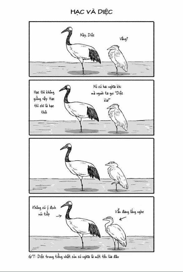 gấu và tanuki chapter 5 1