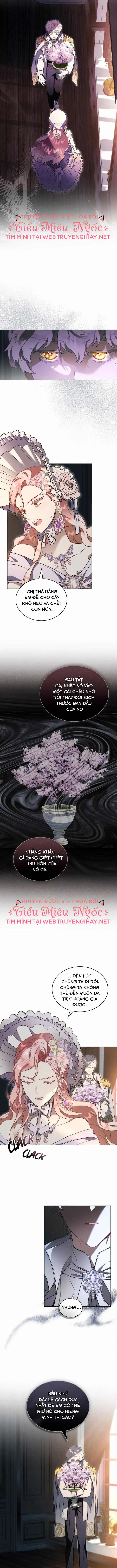 ánh sáng của bình minh chapter 51 5