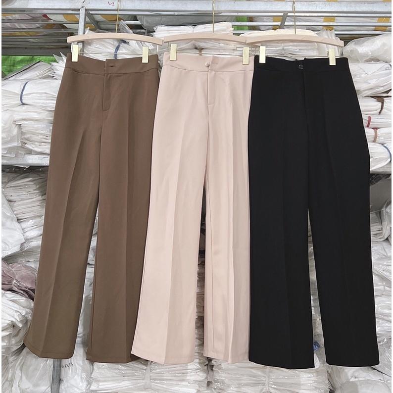 Quần loe vải 1 khuy 203
