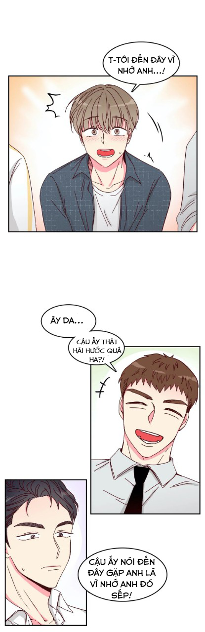 món tráng miệng của sếp tổng chapter 5 14