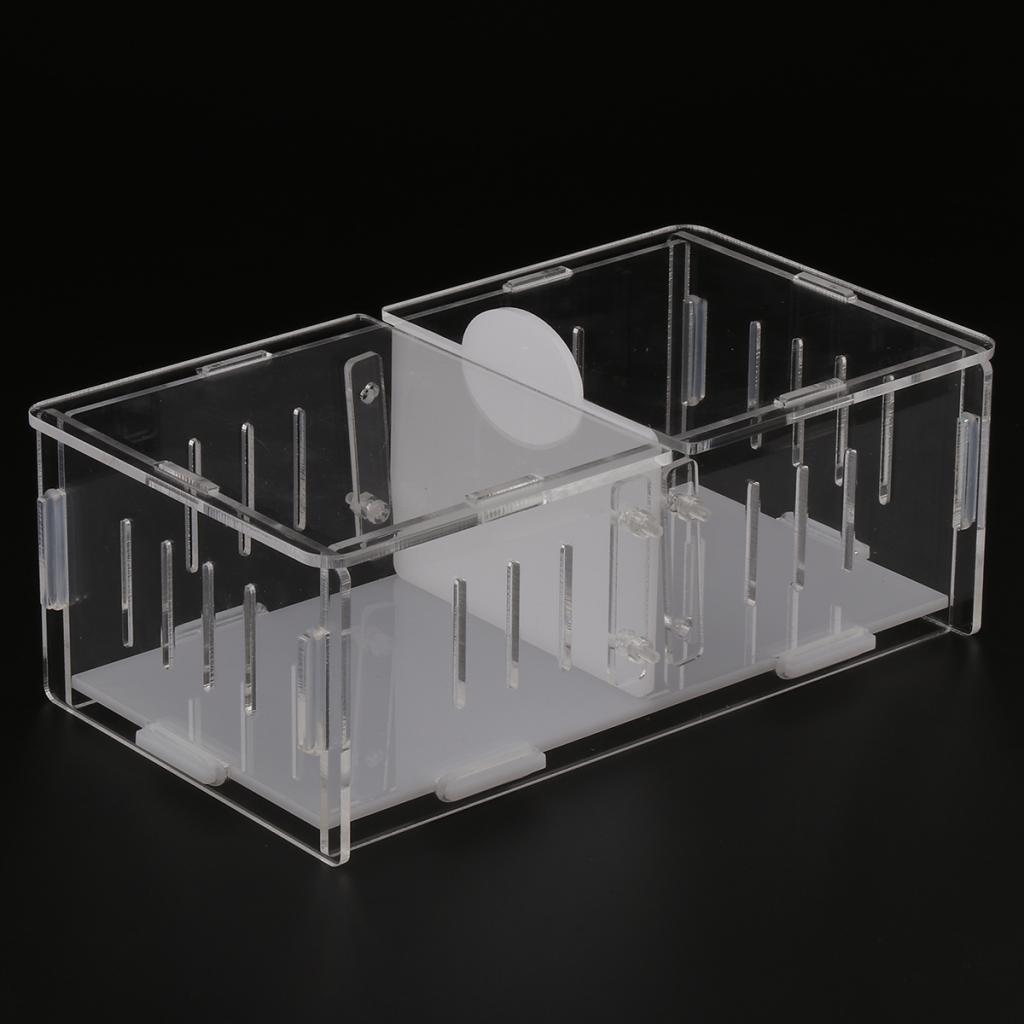 1x Reptile Cage Food Feeding Container For Spider Frog Cricket Turtle