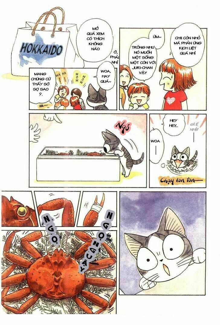 chi's sweet home chapter 44 8