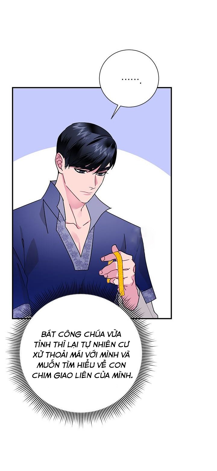 công chúa của loài chim chapter 43 105