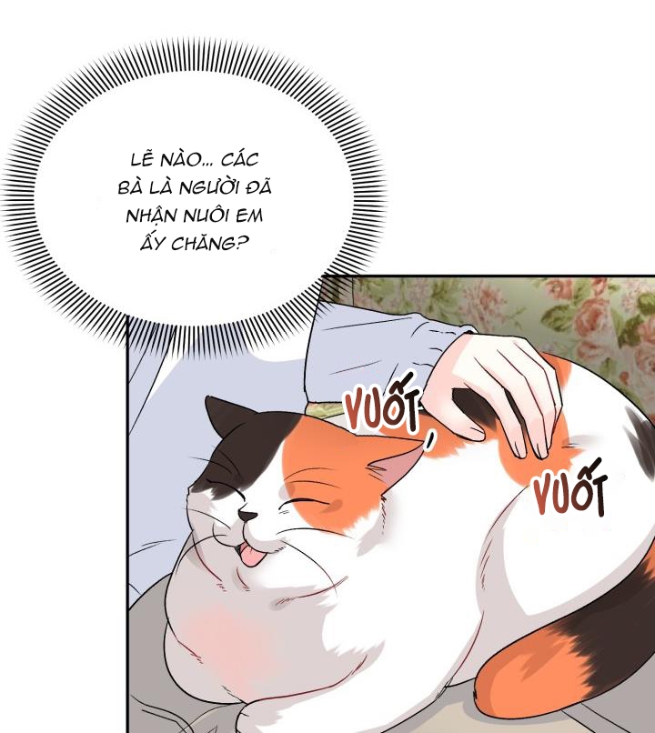 xác suất tình yêu chapter 50 31