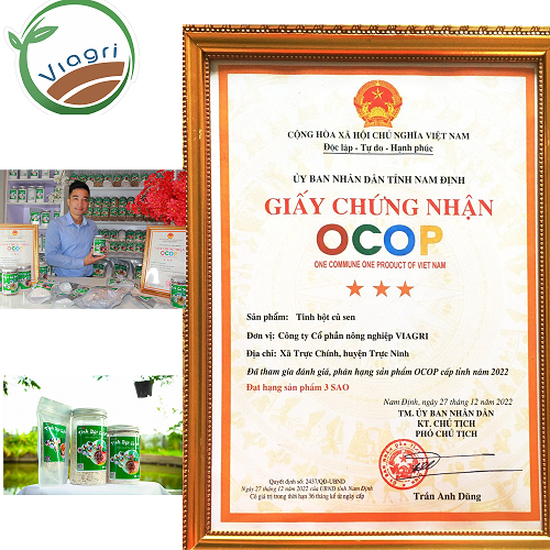 SẢN PHẨM OCOP, Tinh Bột Củ Sen Tinh chất 100% Nguyên Chất Từ Củ Sen Tươi - bột củ sen Việt Nam