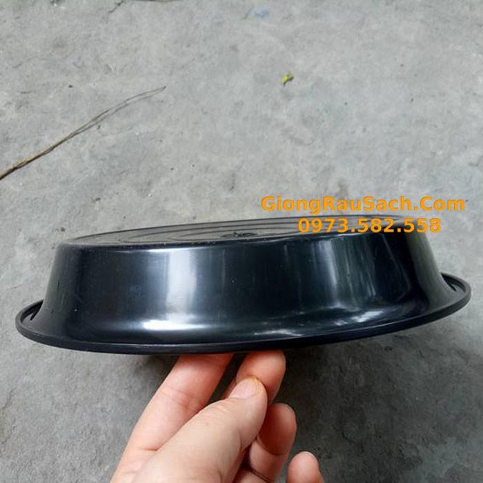 Đĩa lót chậu trồng cây D120 - Màu Trắng - Màu Đen