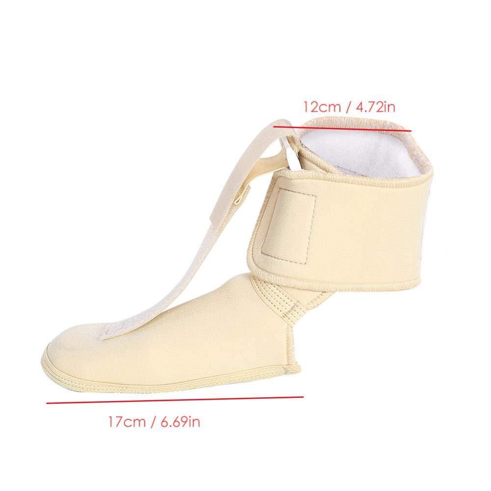 Đêm nẹp để giúp sự sụp đổ trong viêm cân gan chân Chân chỉnh hình giúp nâng bàn chân có thể điều chỉnh và dễ sử dụng