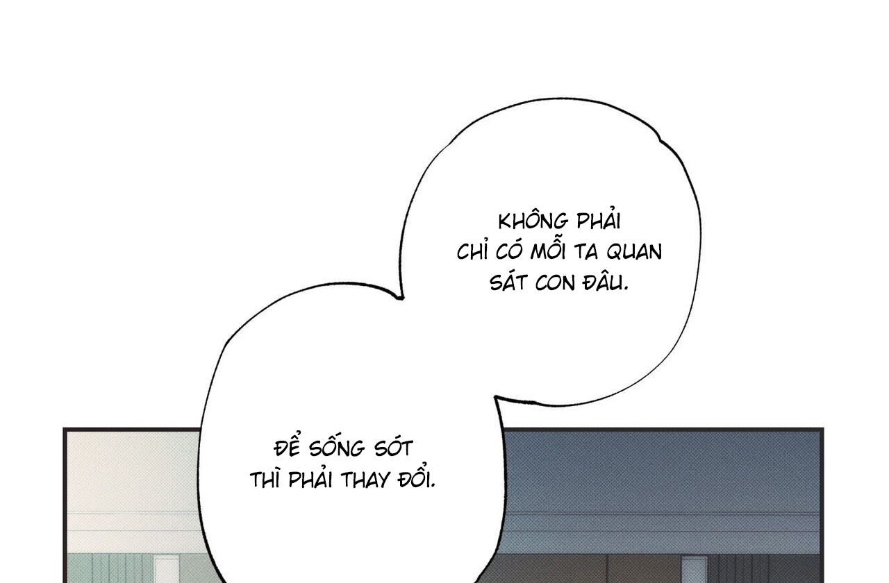 chàng giao pizza và gold palace chapter 39 100