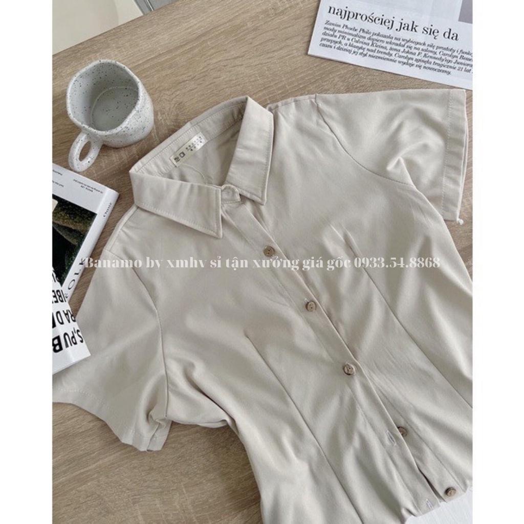 Đầm váy nữ basic cổ sơ mi cài cúc chiết lưng chun nhiều màu thời trang váy nữ cộc tay nhiều màu 5915