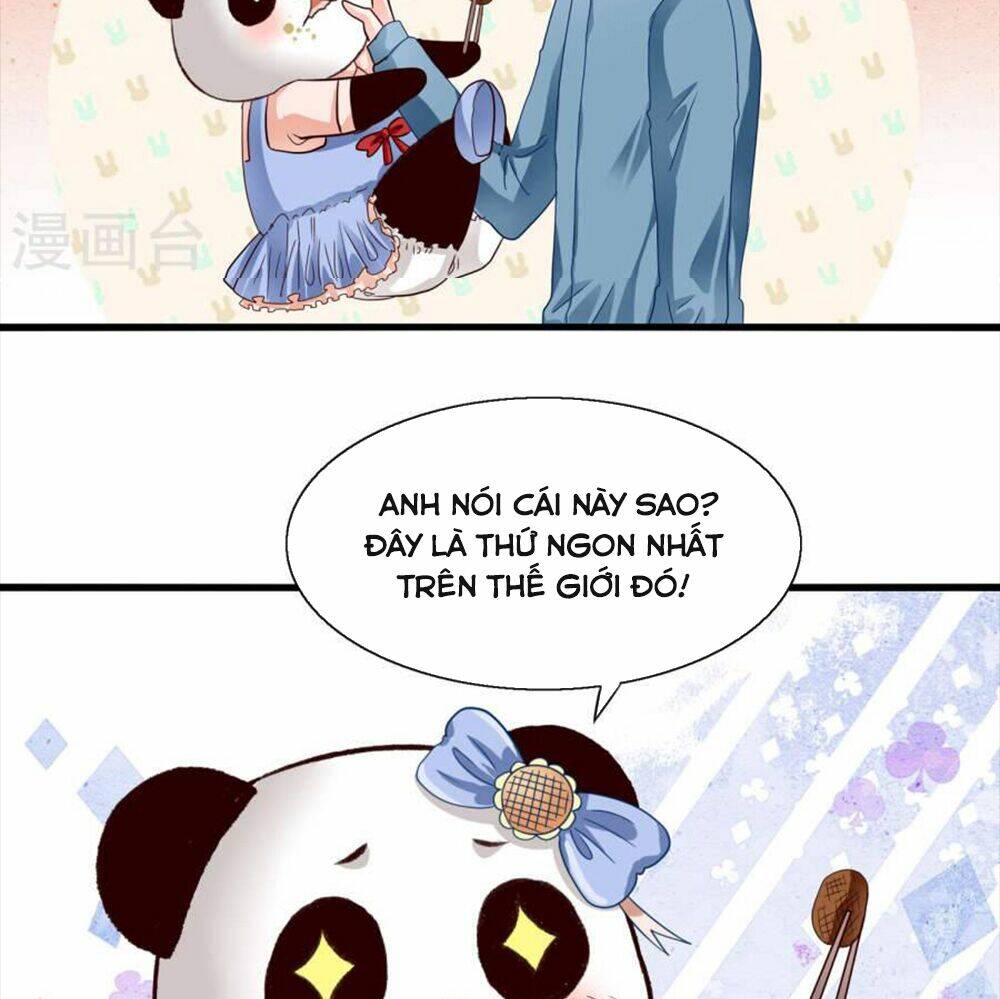 tôi bị gấu trúc nhìn trúng rồi chapter 9 3