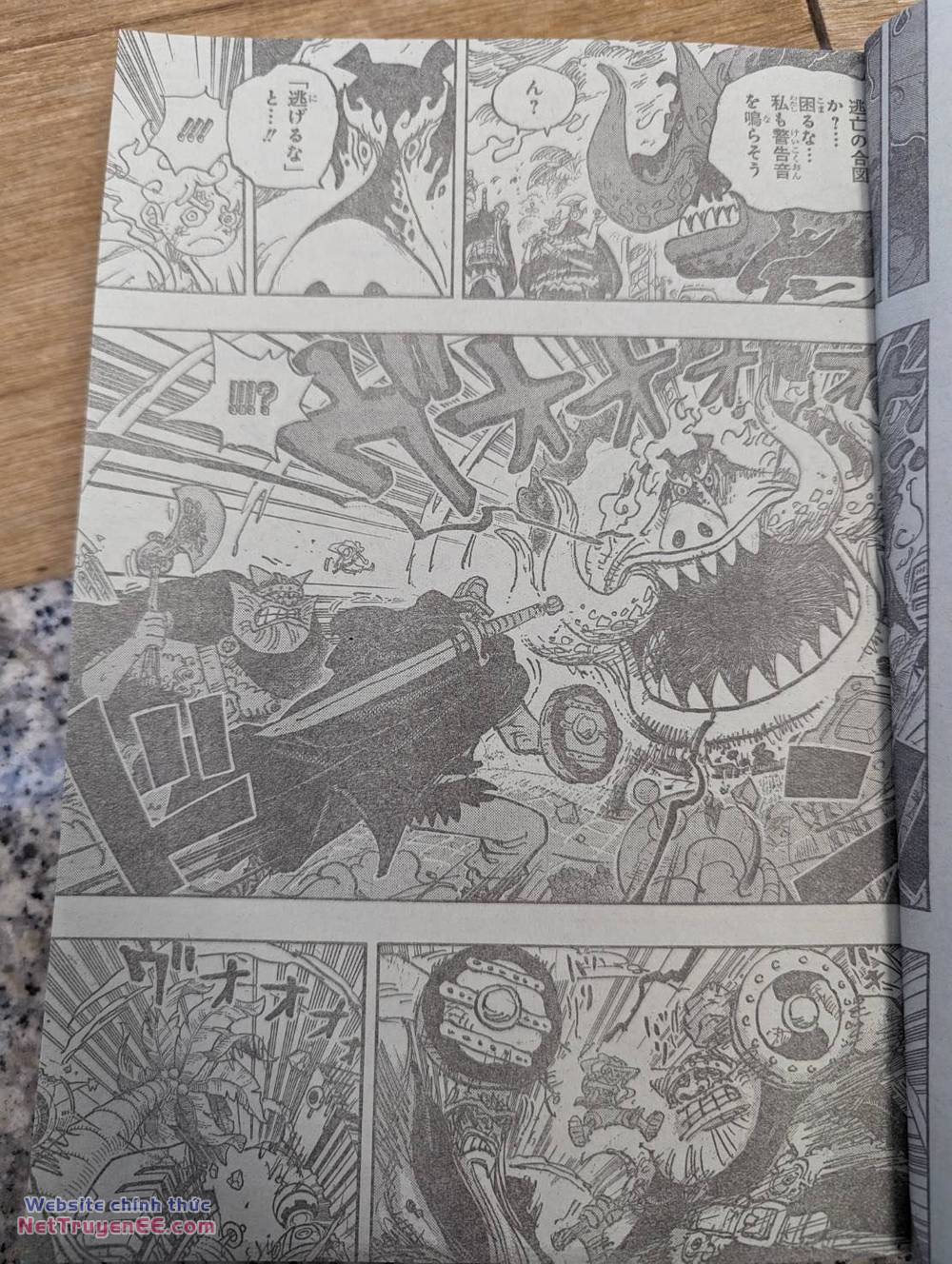 đảo hải tặc - one piece chapter 1111 14