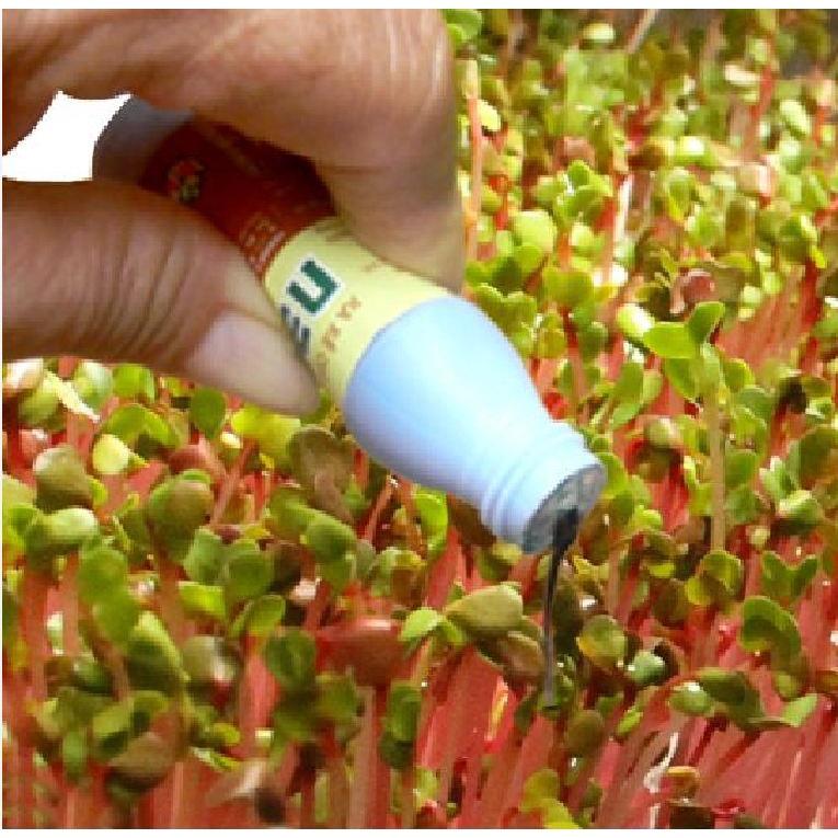 Phân Bón Lá Ra Rễ Cực Mạnh N3M - 1 vỉ 10 lọ