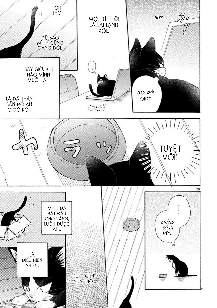 doukyonin wa hiza, tokidoki, atama no ue chapter 2.5 3