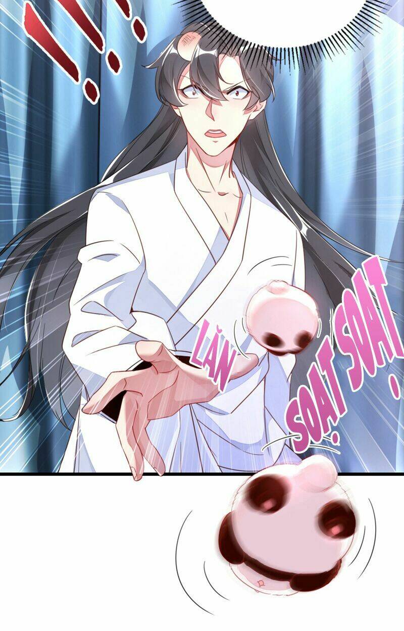 thiên thần gấu trúc muốn được ôm chapter 21 16