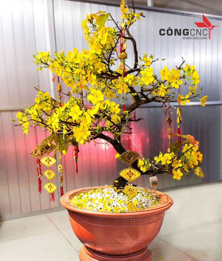 Khuôn Chậu Cảnh Tròn Trơn 60 -KHÔNG CHÂN ĐÔN
