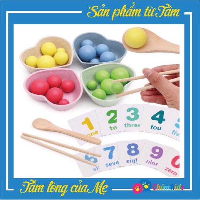Gắp bi gỗ - Giáo cụ montestori
