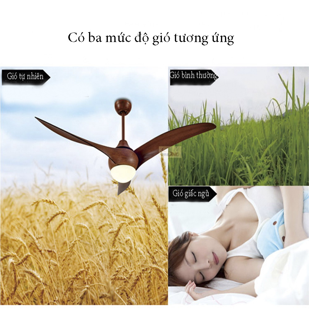 QUẠT TRẦN LINKA LI-QAT012