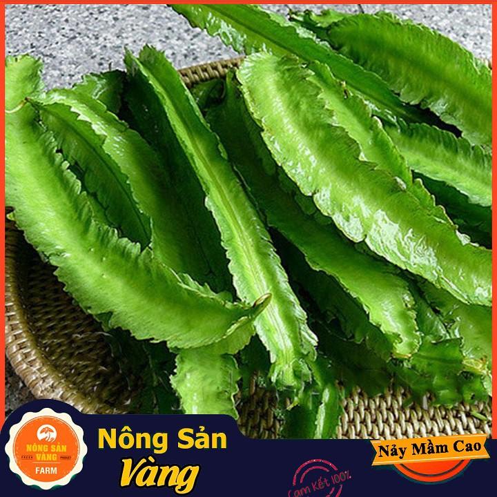 Hạt giống Đậu Rồng ( Gói 10 Gram )