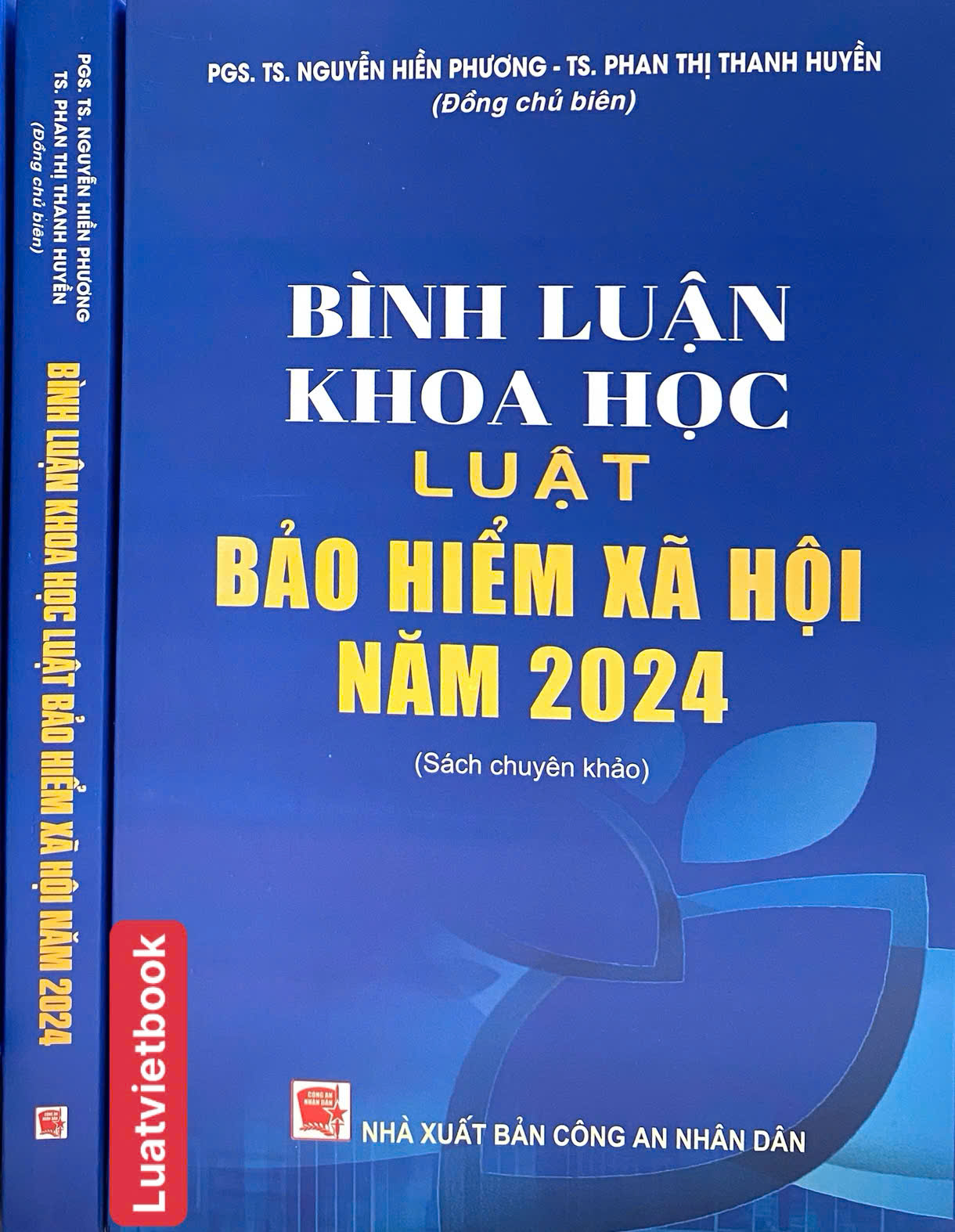 Sách Bình Luận Khoa Học Luật Bảo Hiểm Xã Hội Năm 2024 ( Sách Chuyên Khảo)