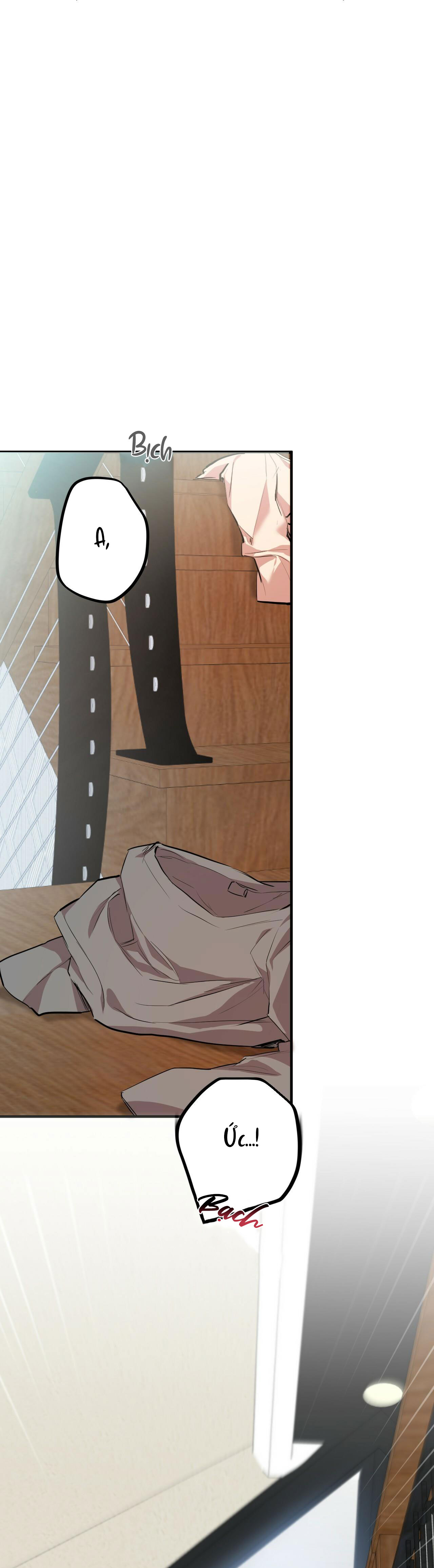 những chú thỏ của hapypy chapter 28 45