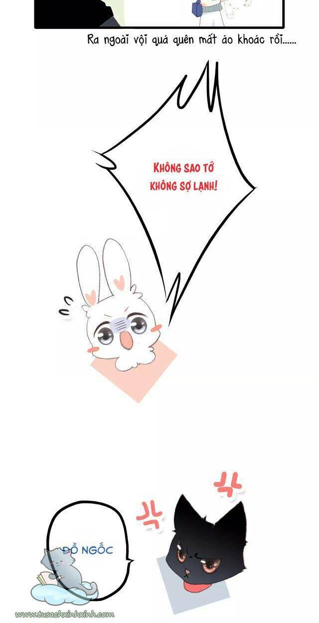 con tim rung động 3 chapter 61 67