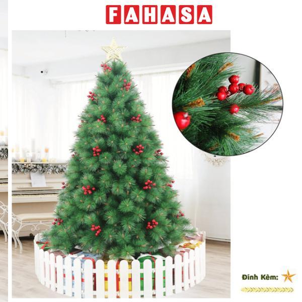 Cây Thông Cước Đầu Vàng Gắn Trái Đỏ 150 cm - Chaang Chiia LP-YHN-5R