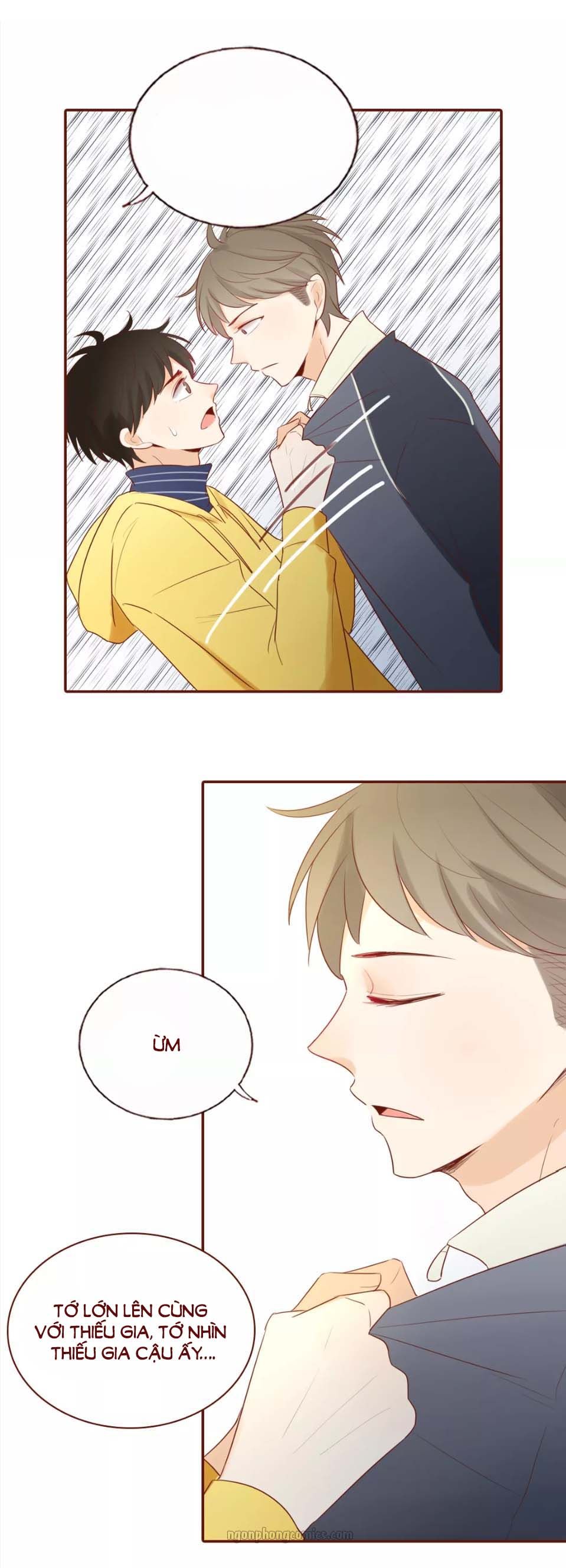 Trái Tim Bí Ẩn chapter 73 - Trang 12