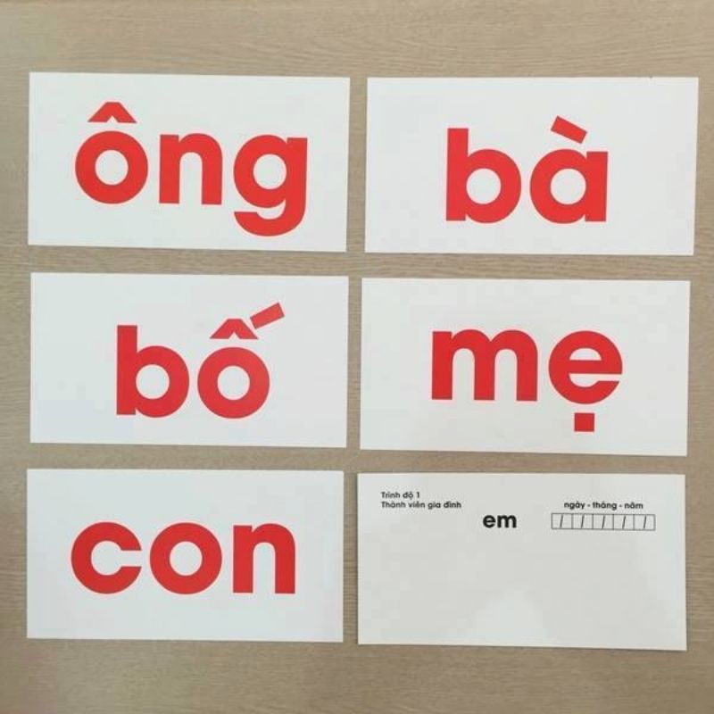 Bộ The Flashcard Glenn doman - Bộ 100 thẻ đọc Tiếng Việt Cho Bé