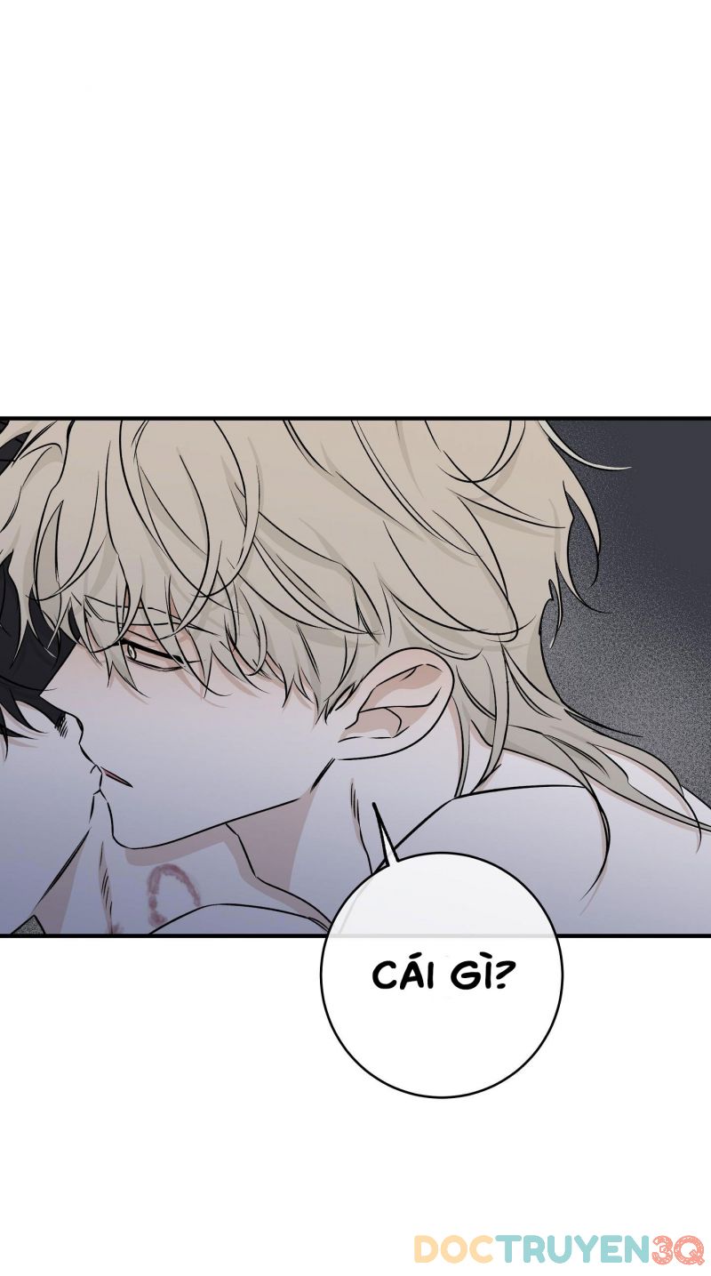 đêm bên bờ biển chapter 47.5 28