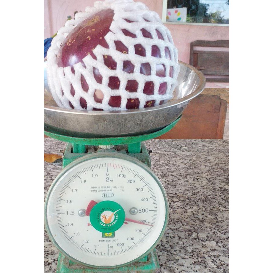 CÂY GIỐNG VÚ SỮA MICA