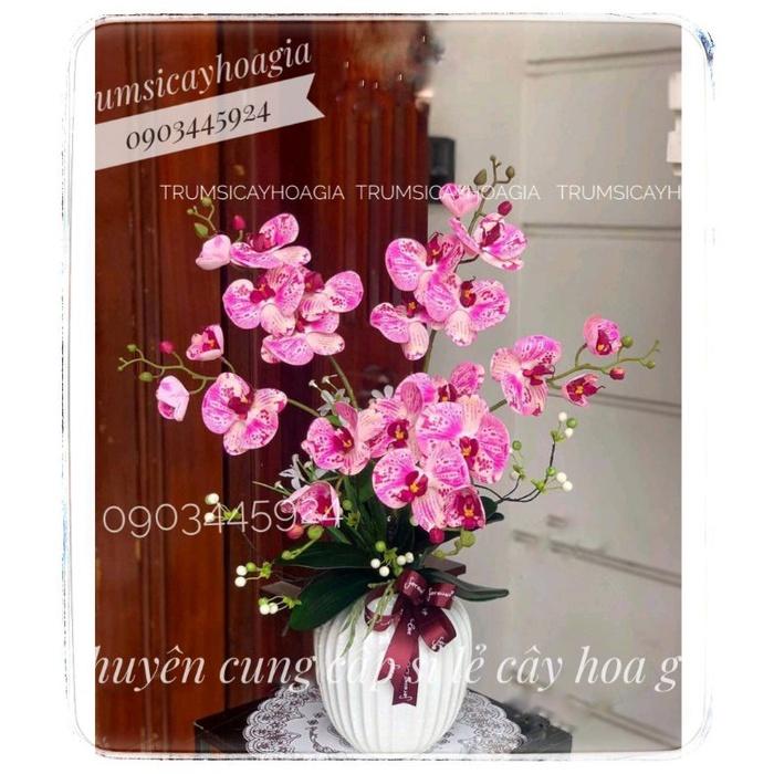 Cành lan casu 2 nhánh cao cấp giống thật nhập khẩu-Hoa giả