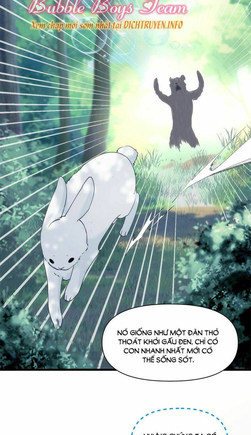 dù là sói cô độc cũng có tình yêu của sẻ nhỏ chapter 35 11