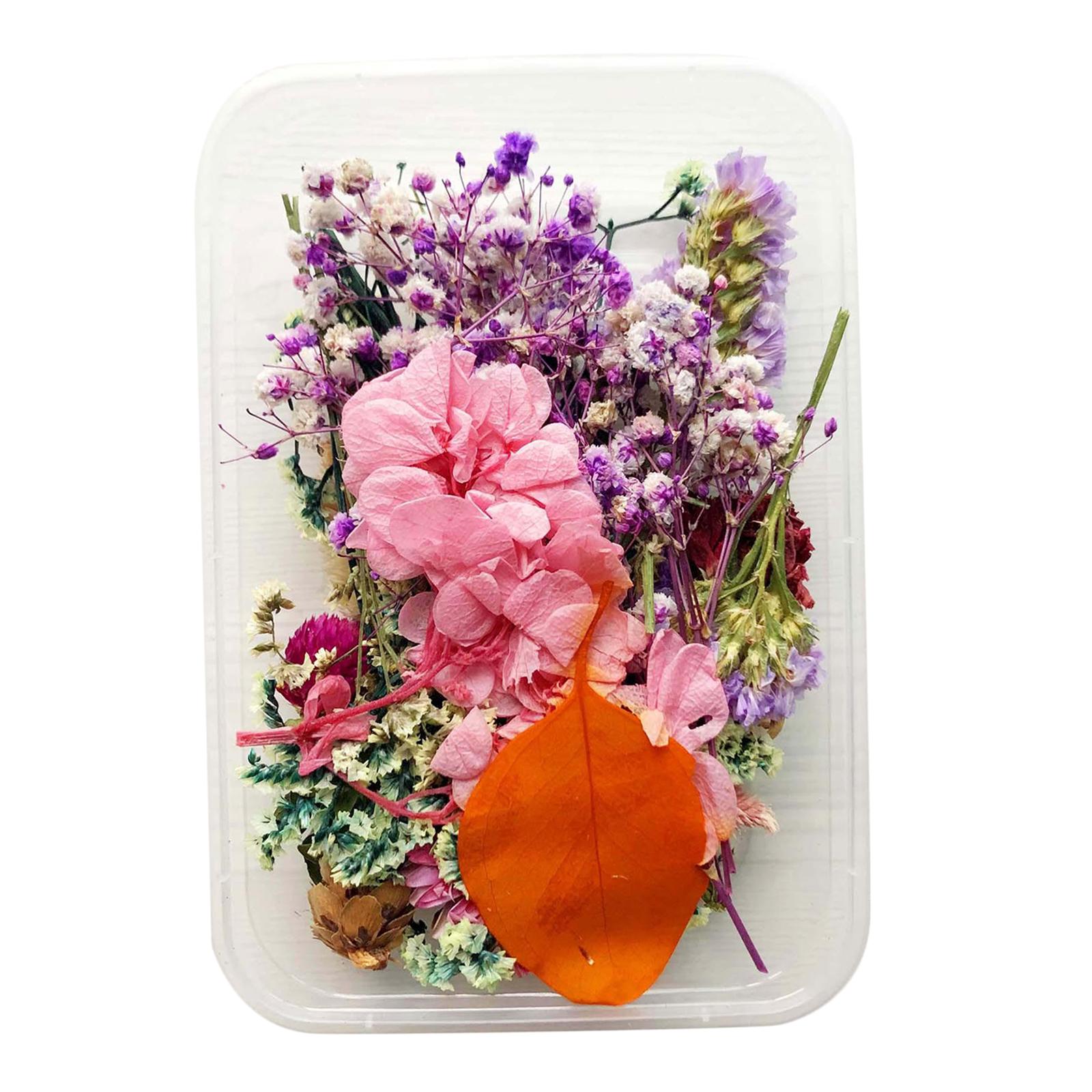 1Box Mix Natural Real Pressed Dried Flowers Petals Leaves Crafts Card Making