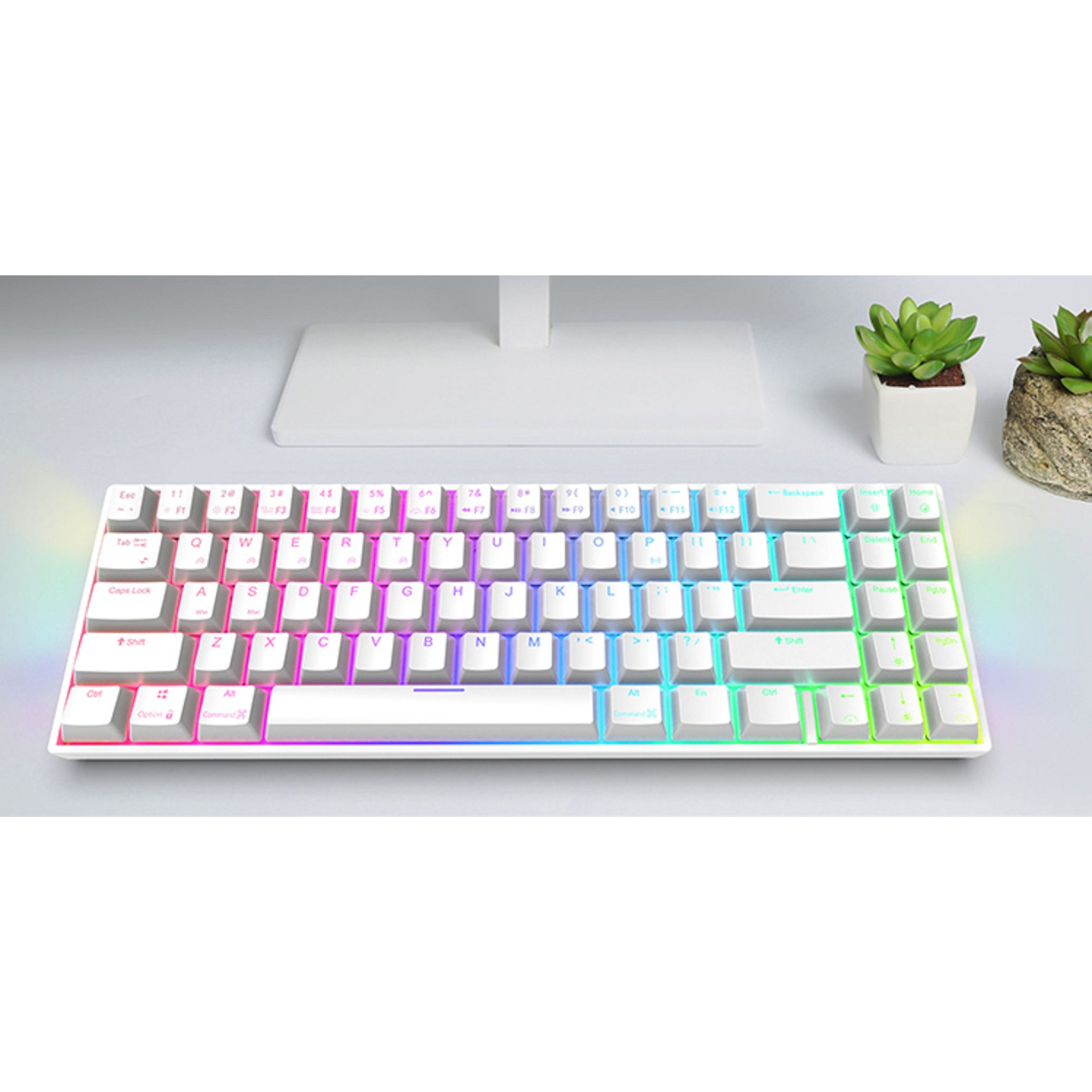 Bàn phím cơ không dây Royal Kludge RK71 RGB CHÍNH HÃNG - Brown switch. 71 phím, thiết kế đẹp, nhỏ, gọn, nhẹ, dễ dàng mang theo. Tương thích với nhiều thiết bị.