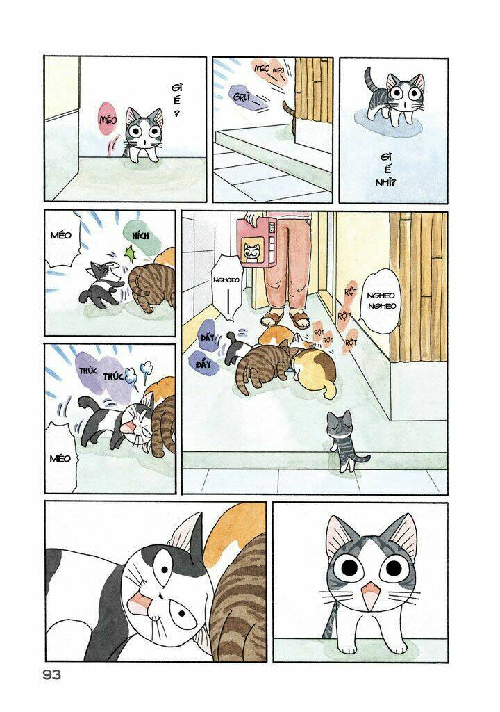 chi's sweet home chapter 122 7