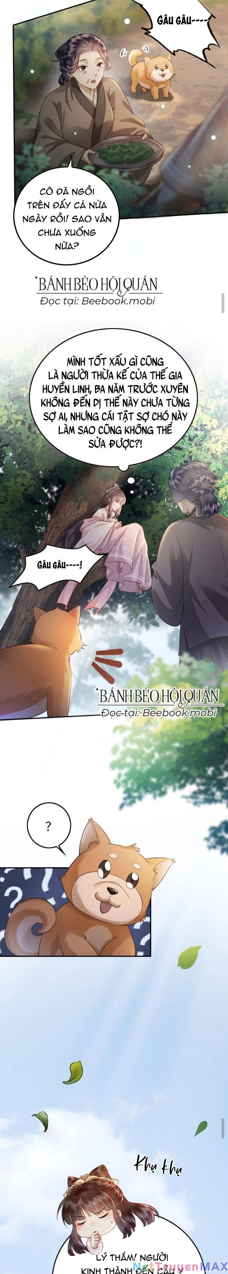 báo cáo nhiếp chính vương, đại lão nàng ấy chuyên trị bệnh liệt dương chapter 3 5