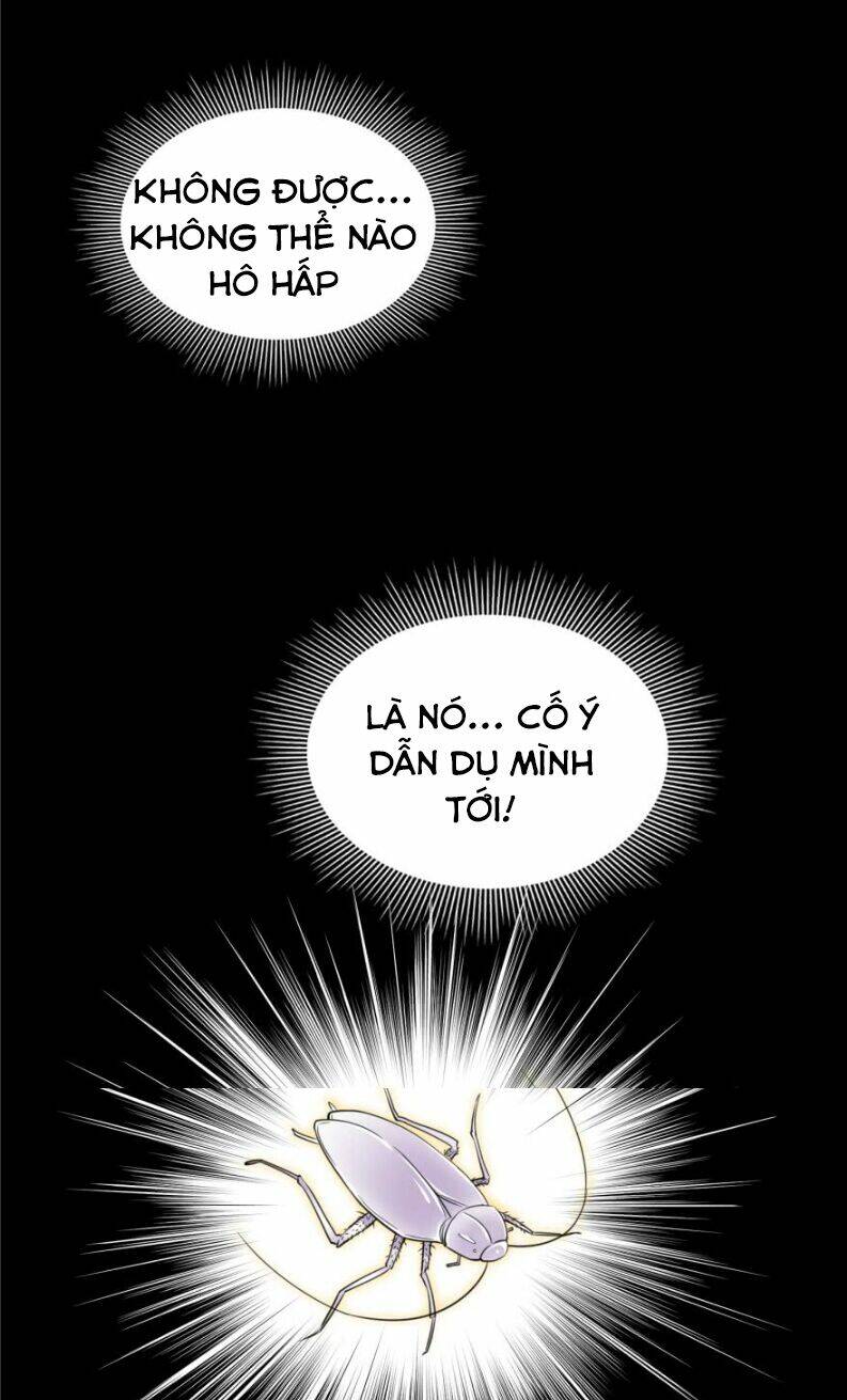 đô thị tối cường tu chân chapter 4 19