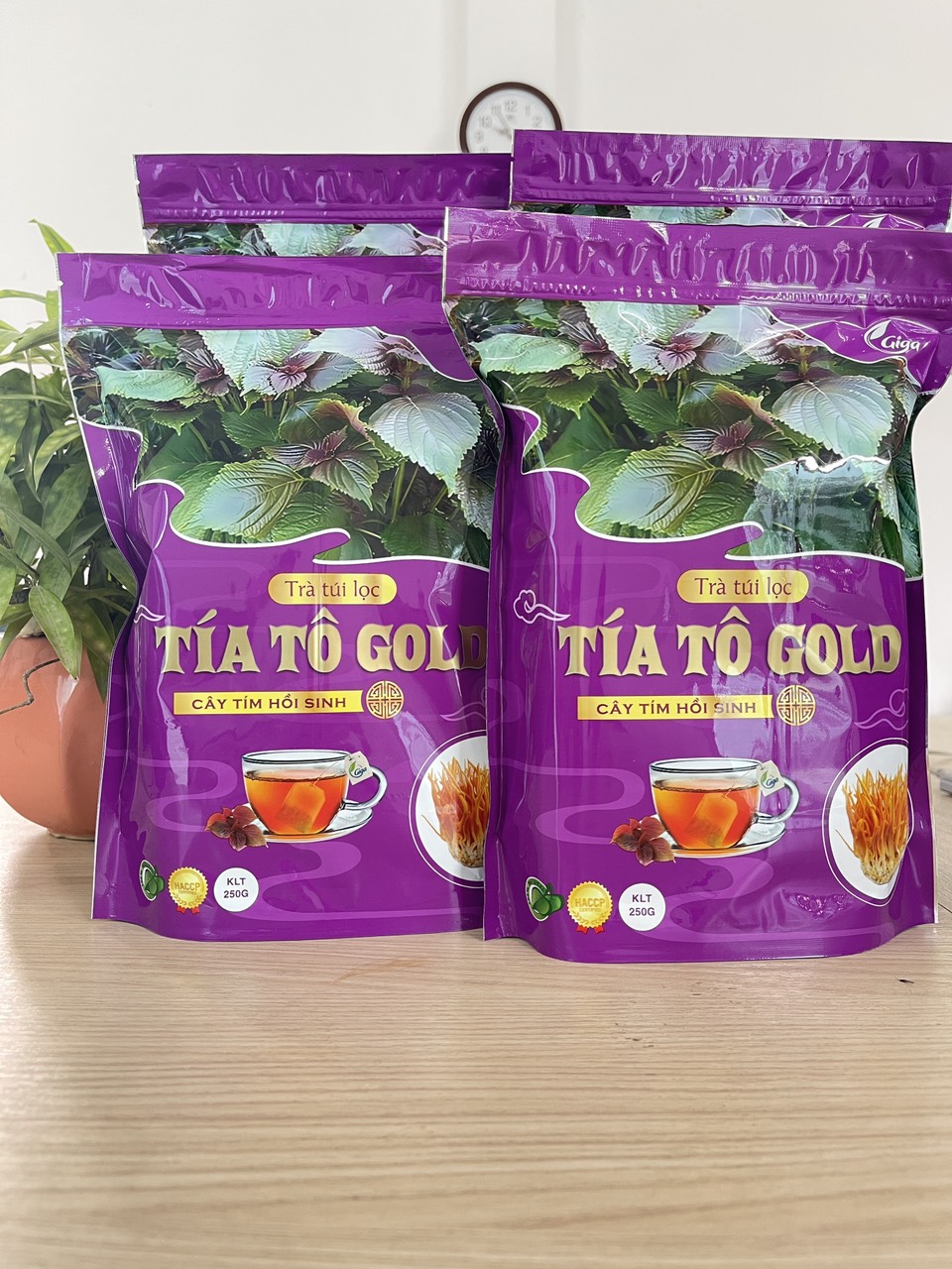Combo 1kg Trà Túi Lọc Tía Tô Gold Giga - Giúp Thanh Nhiệt Giải Độc Mát Gann