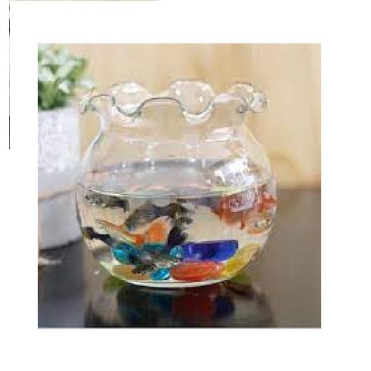 Chậu thủy tinh miệng bèo mini 11*10 CM - Chậu Thuỷ Tinh Nuôi Cá, Trồng Cây Mini