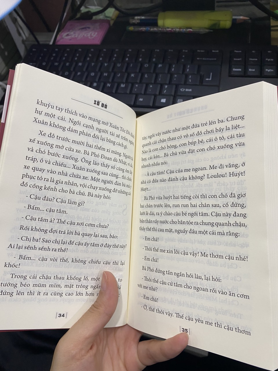 Tác phẩm văn học trong nhà trường: Số đỏ ( Đại Mai )
