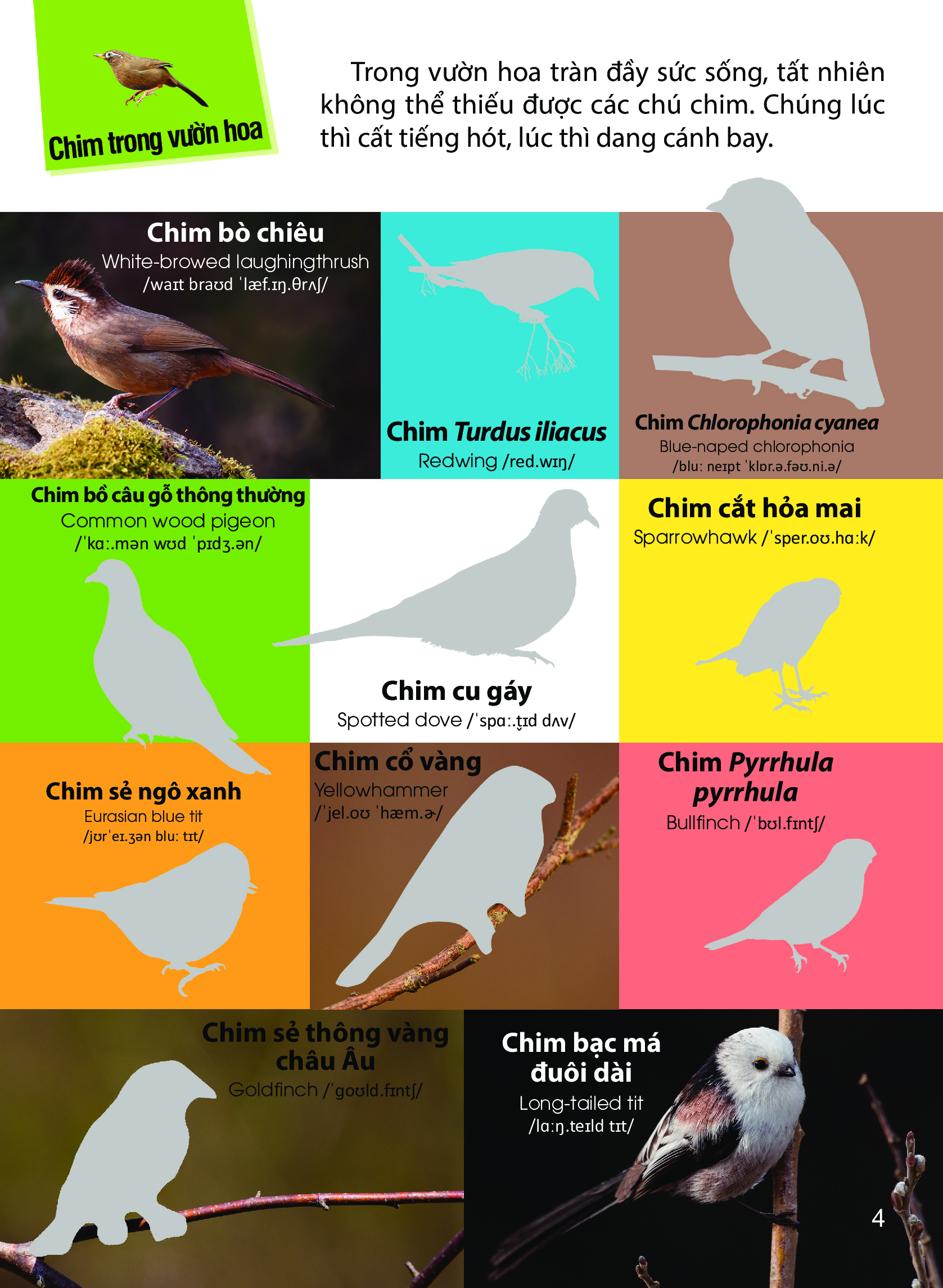 Dán Hình Nhận Biết Động Vật - Chim Và Côn Trùng _DTI