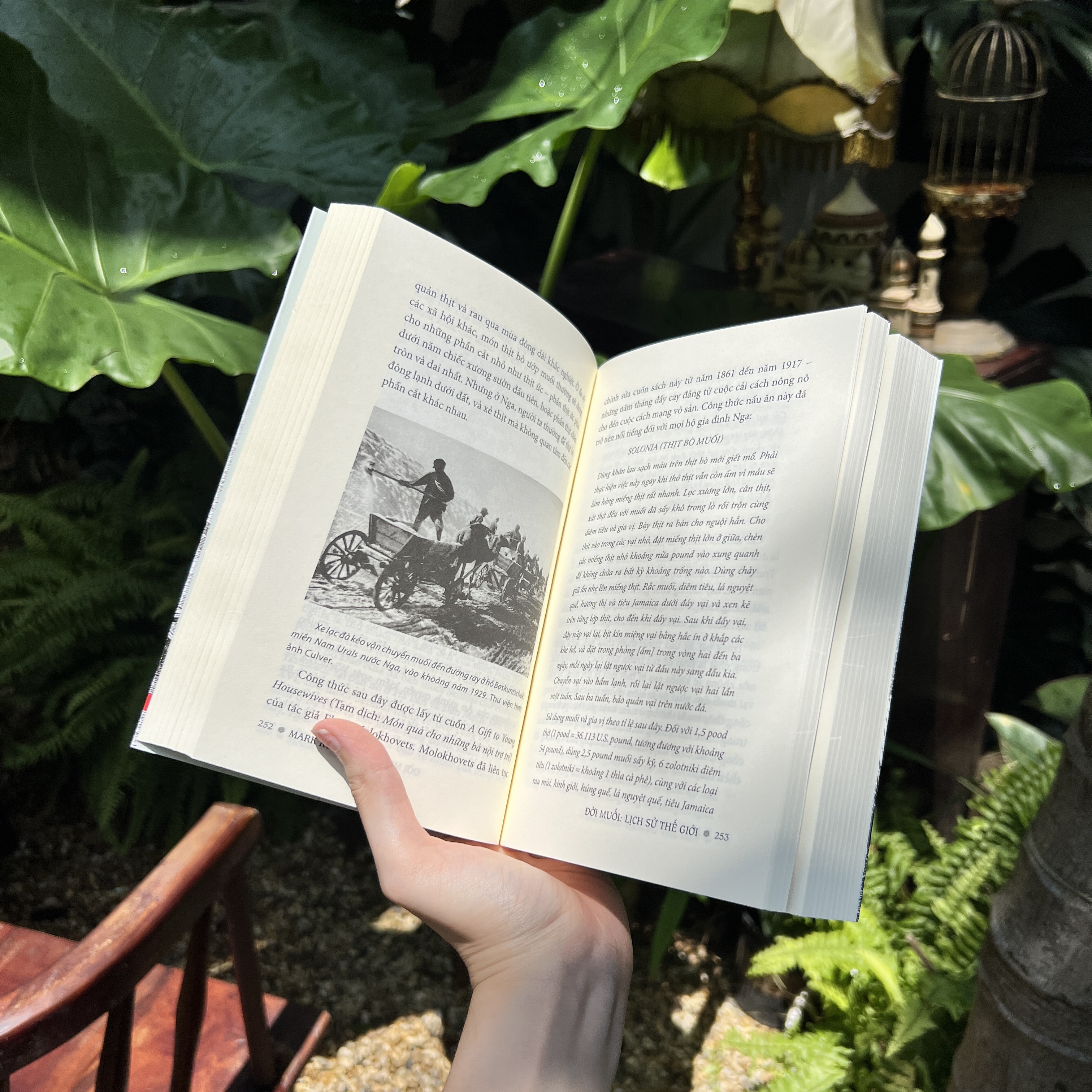 Đời Muối- Lịch Sử Thế Giới- Sách Lịch Sử-(Tái Bản 2024)- 2HBooks