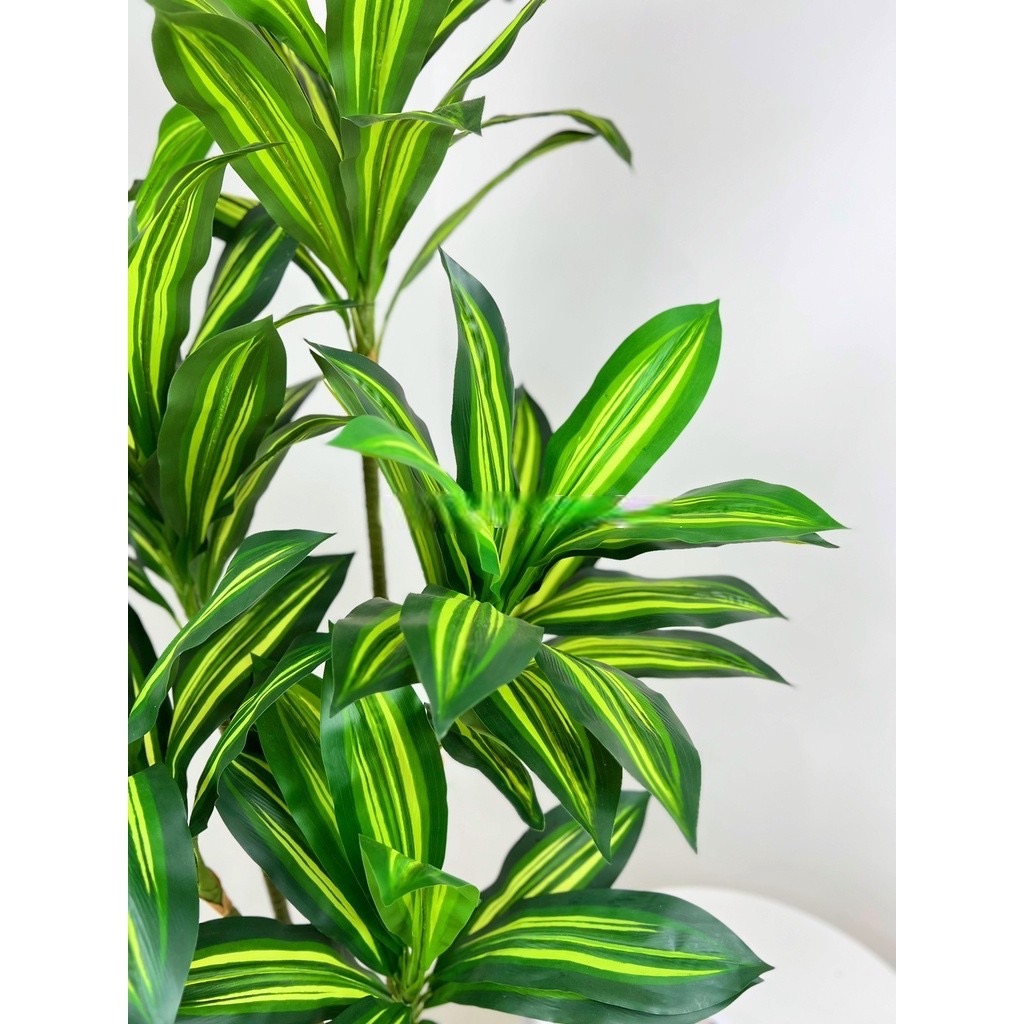 Cây thiết mộc lan giả - 5 nhánh - cao 150 cm - Cây giả, hoa lụa Decor trang trí nhà cửa