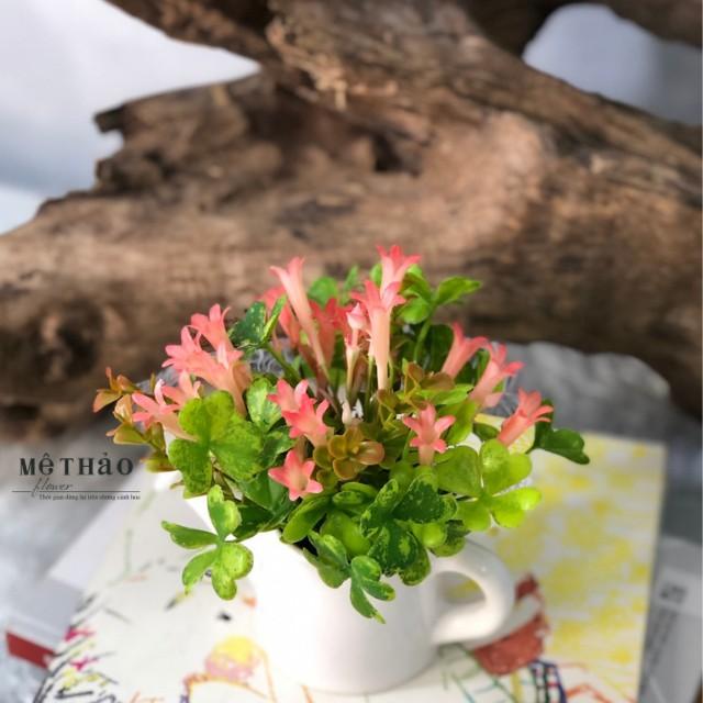 (Ảnh Shop Chup) Chậu Cây Hoa Để Bàn Sen Đá Giả Kèm Chậu Decor Phòng, Trang Trí Bàn Làm Việc, Trang Trí Kệ