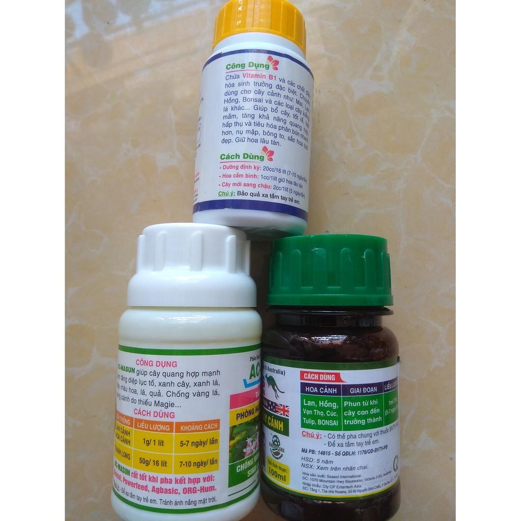 Bộ sản phẩm chăm sóc cây sứ thái mập thân to lá - 100ml/chai
