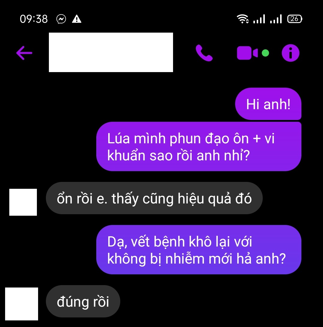 THUỐC ĐẶC TRỊ ĐẠO ÔN CỔ BÔNG, ĐẠO ÔN CỔ LÁ, NHANH GIÉ GÓI 25GAM PHUN 1 BÌNH 25LÍT