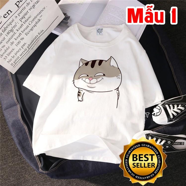  AlbumÁo Thun Unisex Mèo Ami Bụng Bự To Khổng Lồ Đẹp Giá Rẻ